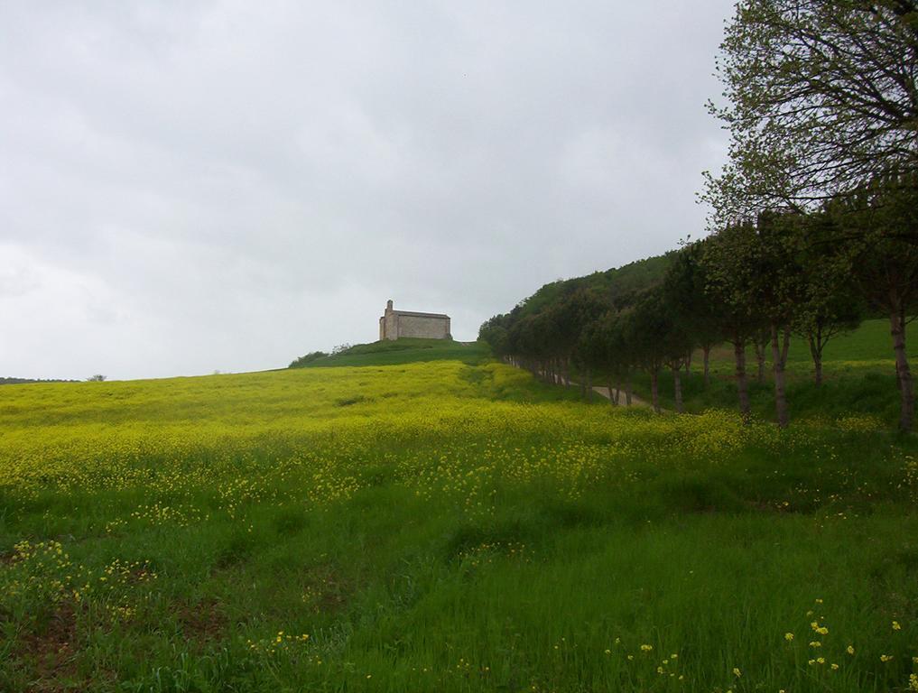 Agriturismo La Pieve Colle di Val d'Elsa Exterior foto