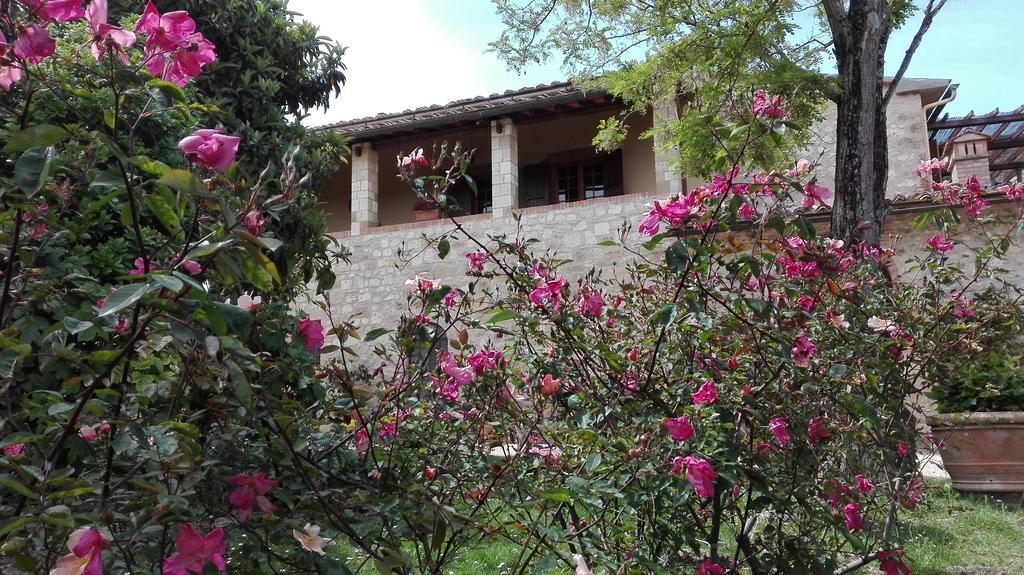 Agriturismo La Pieve Colle di Val d'Elsa Exterior foto