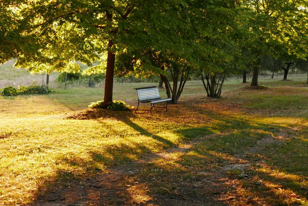 Agriturismo La Pieve Colle di Val d'Elsa Exterior foto